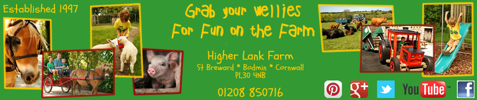 holidays with babies and toddlers on a real working farm near bodmin in cornwall