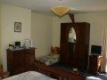 garden view bedroom