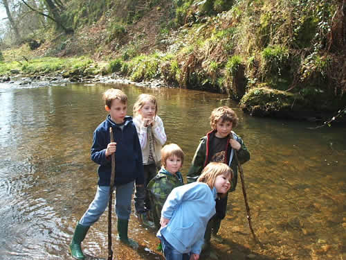 pond dipping at higher lank farm, near bodmin