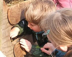 collecting the eggs at higher lank farm
