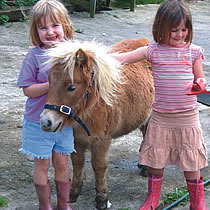 toddler holidays - meet the ponies