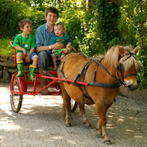 pony and trap rides at higher lank farm, toddler-friendly holidays in cornwall, uk