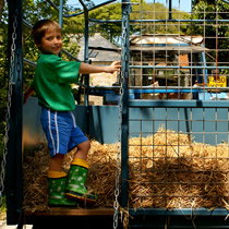 higher lank farm - welcome tractor and trailer tour